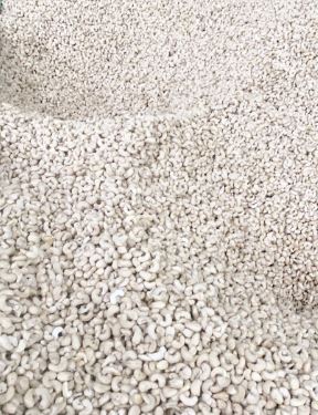 Hạt điều - Hạt Điều SVC - Công Ty Cổ Phần Quốc Tế SVC